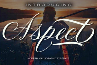 Aspect: The Bold Script Typeface for Modern Web Design