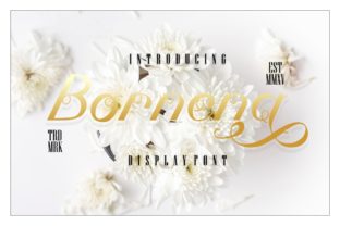 Bornena: The Sweet Script Handwritten Font for Elegant Branding