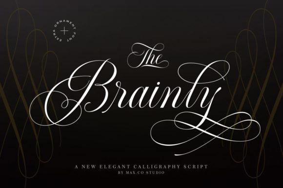 Brainly: A Luxurious Script Font for Sophisticated Campaigns