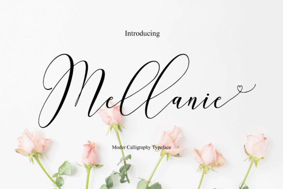 Mellanie: The Bold Script Handwritten Font for Creative Branding