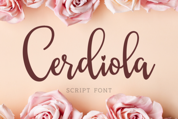 Why Cerdiola Is the Perfect Script Handwritten Font for Modern Web Design